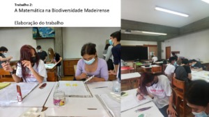 A Matemática na Biodiversidade Madeirense