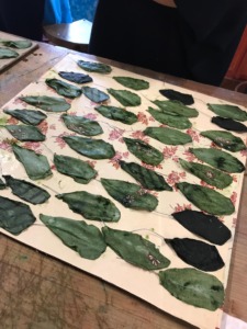 Observa-se o trabalho que os alunos realizaram a cortar os tecidos em forma de folhas.